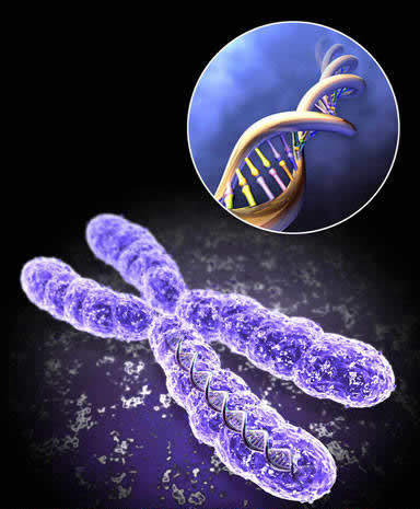 科學家完整破譯第22對人體染色體遺傳密碼