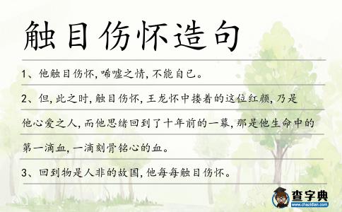 觸目傷懷造句